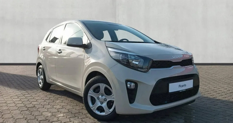 Kia Picanto cena 62400 przebieg: 2, rok produkcji 2024 z Gliwice małe 16